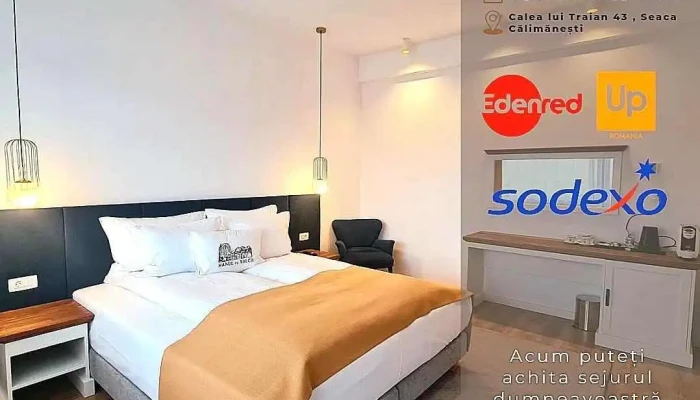 Hanul Cu Salcii De La Proprietar - Seaca