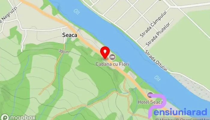 hartă a Hanul cu Sălcii Restaurant cu specific românesc în Seaca