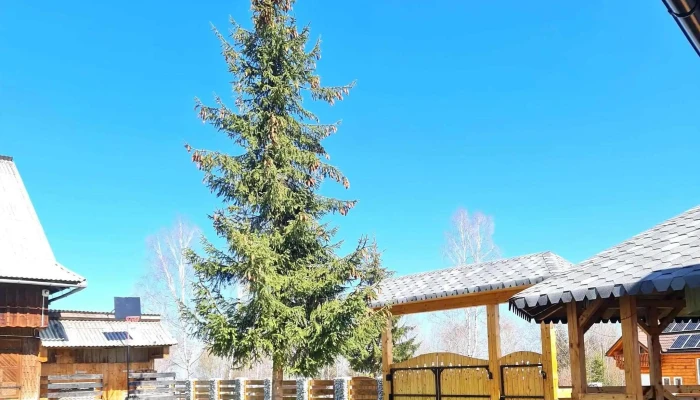 Hanul De Vis -  Telefon - Calatele-padure, Nr 589 Com