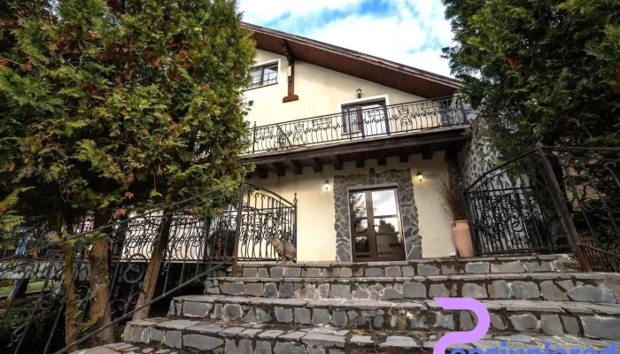 Hanul Din Padure Număr - Stejăreni