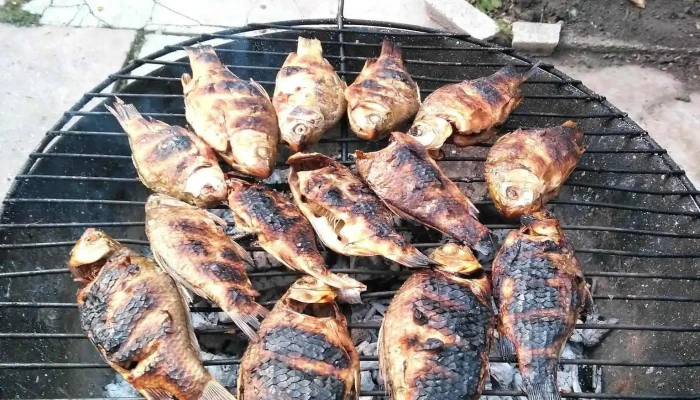 Hanul Gazarilor Mancaruribauturi - Ploiești