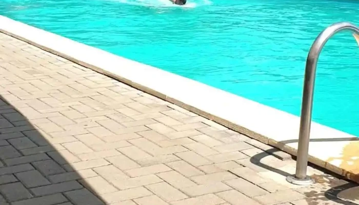 Hanul Lui Bogdan -  Videoclipuri - Făget