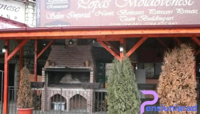 Hanul Moldovenesc -  De La Proprietar - Bacău