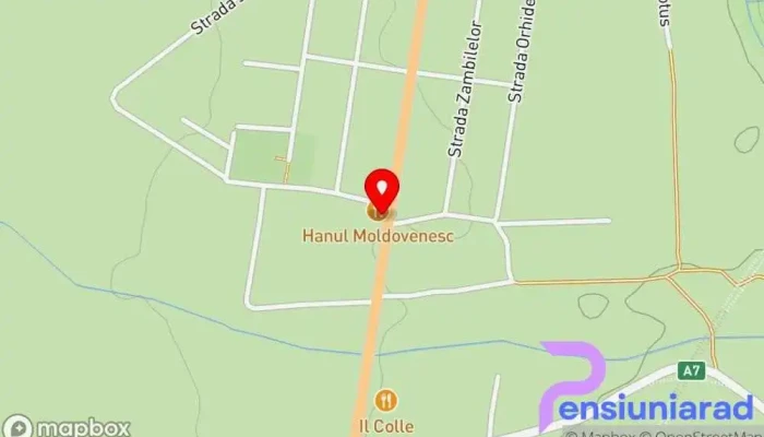 Hanul Moldovenesc -  Hartă - Bacău