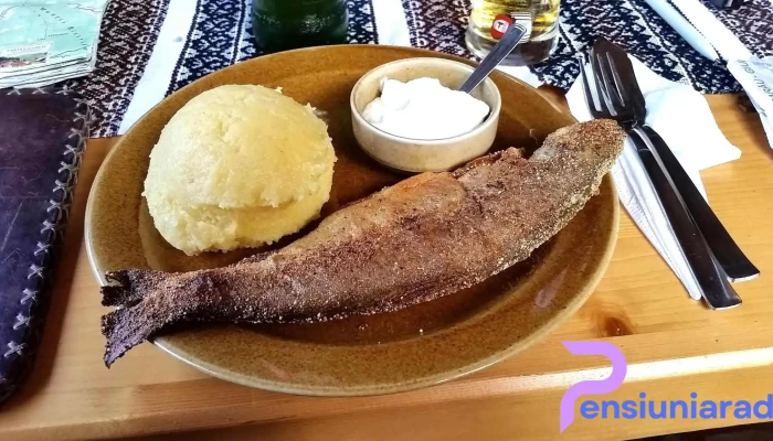 Hanul Pastravarului Polenta - Pojorâta