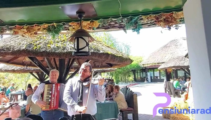 Hanul Pescarilor -  Videoclipuri - Săldăbagiu De Munte