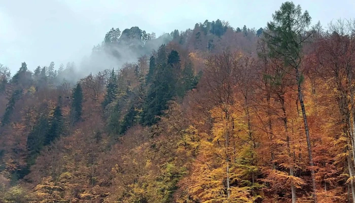 Hanul Piatra Mare -  Adresă - Bistrița Bârgăului