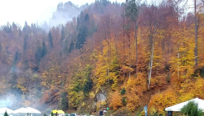 Hanul Piatra Mare -  Deschis Acum - Bistrița Bârgăului