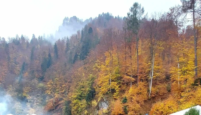 Hanul Piatra Mare -  Unde - Bistrița Bârgăului