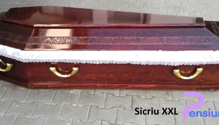 Hanzu N&d Servicii Funerare Sibiu. Pompe Funebre Sibiu. Funerare Complete, Non Stop Sibiu - Cisnădie
