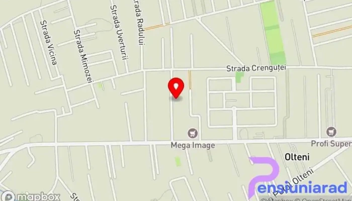 hartă a Happy Place Organizator de petreceri, Loc de joacă pentru copii, Serviciu pentru petreceri de copii, Local pentru evenimente în Domnești