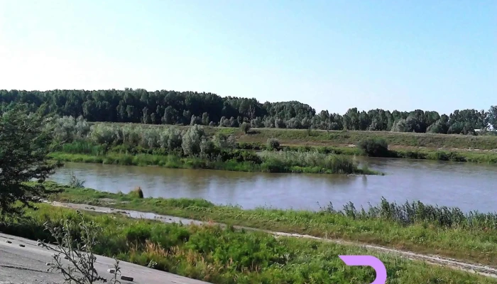 Herasti Site Web - Herăşti