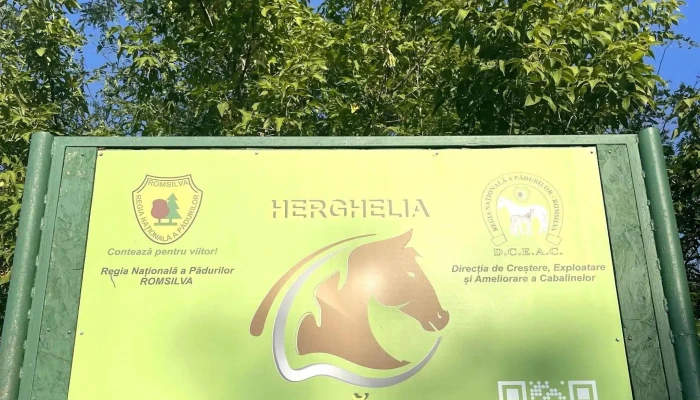 Herghelia Jegalia Telefon - Perișoru