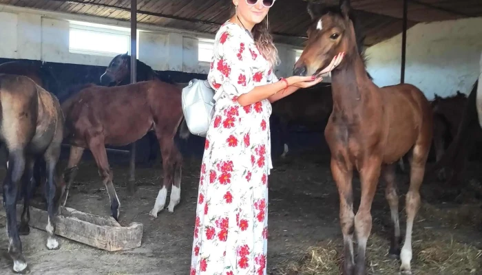 Herghelia Tulucesti Comentarii - Tulucești