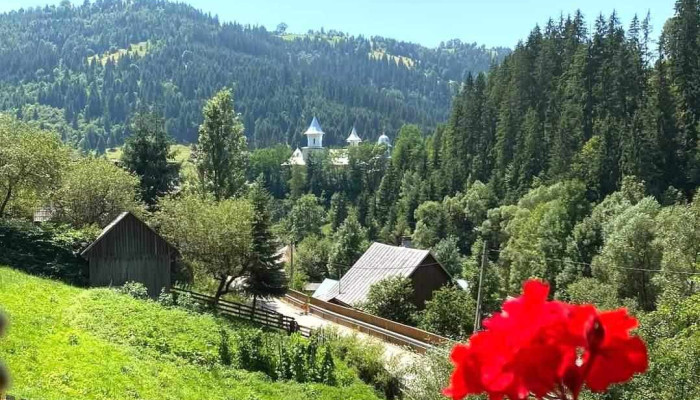 Horea -  Munte - Horea