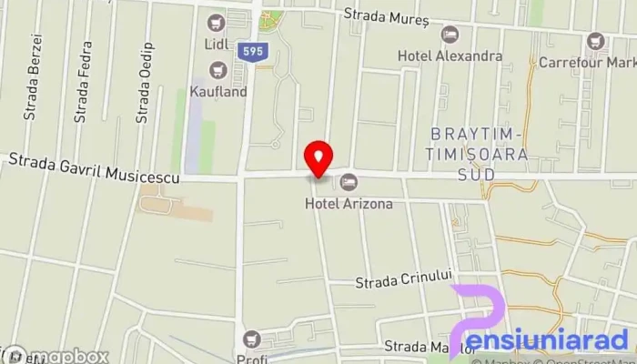 Hotel Boutique Donna Anna -  Hartă - Giroc