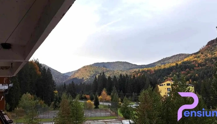 Hotel Bradul -  Videoclipuri - Covasna