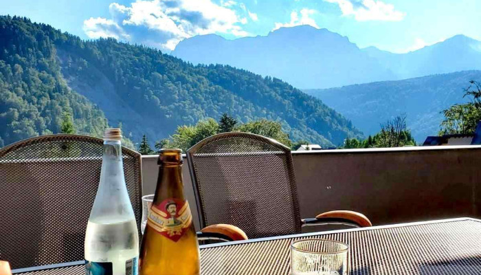 Hotel Carpatinn -  Mancaruribauturi - Azuga