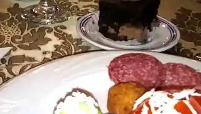 Hotel Ceres   Pucioasa Romania Videoclipuri - Pucioasa