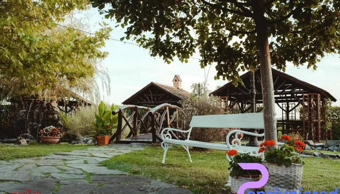 Hotel Cris Exterior - Chișineu-criș