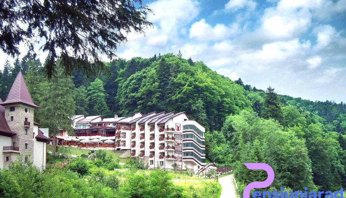 Hotel Dobru -  Fotografii - Slănic Moldova