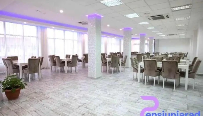 Hotel Magnific - Borș