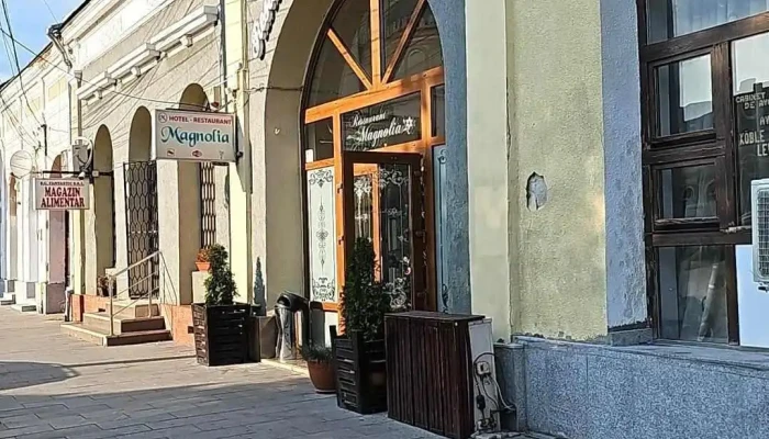 Hotel Magnolia -  Exterior - Aiud