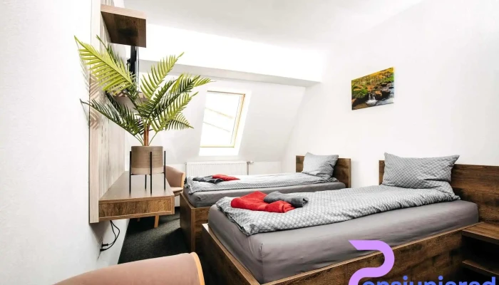 Hotel Palya Camere - Gheorgheni