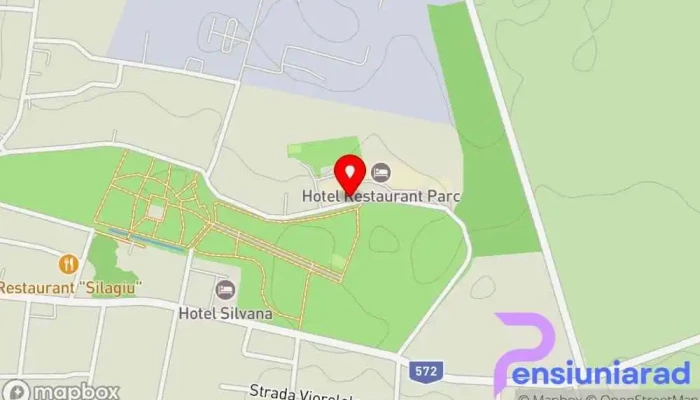 Hotel Phoenix -  Hartă - Buziaș
