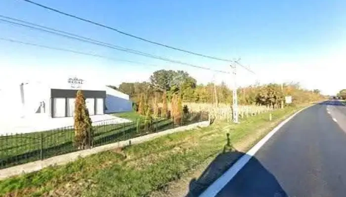 Hotel Regal -  Street View Si 360deg - Morărești