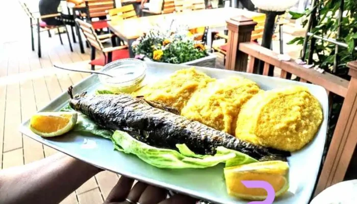 Hotel Restaurant Carul Cu Flori -  De La Proprietar - Oravița
