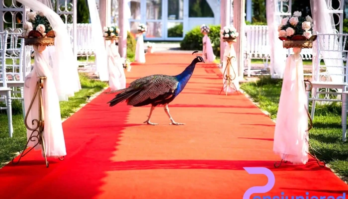 Hotel Roco -  Prețuri - Izvin