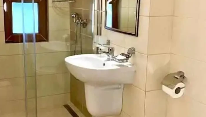 Hotel Termal -  De La Proprietar - Geoagiu-băi