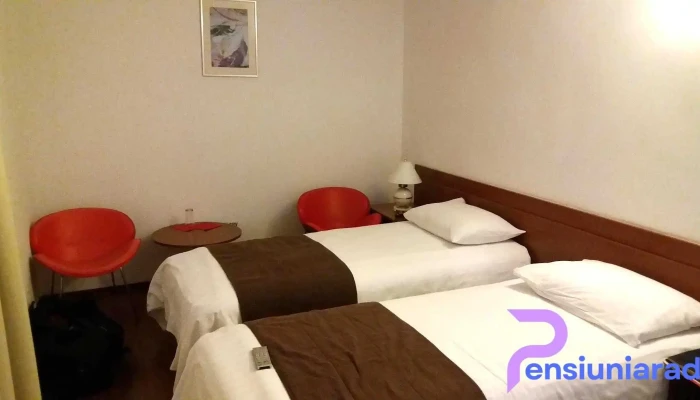 Hotel Timisoara Camere - Sânnicolau Mare