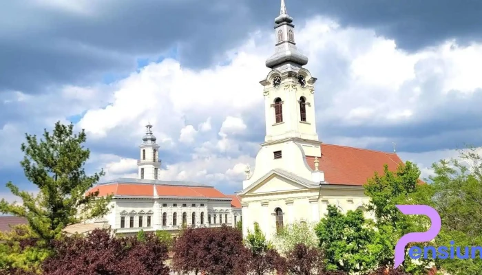 Hotel Timisoara Exterior - Sânnicolau Mare