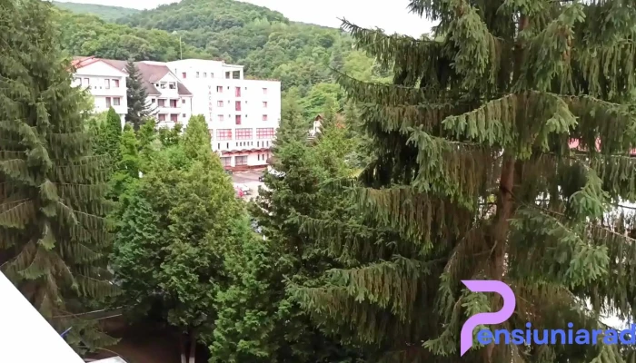 Hotel Vacanta Videoclipuri - Geoagiu-băi