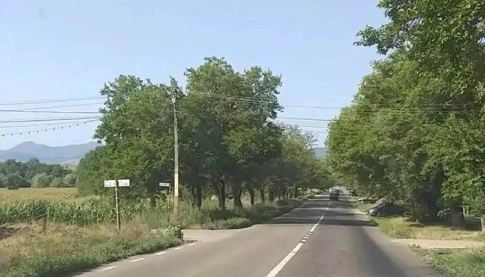 Humulestii Noi Videoclipuri - Humuleștii Noi