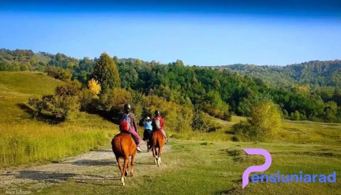 Husar Slanic Riding Centre Sa - Slănic