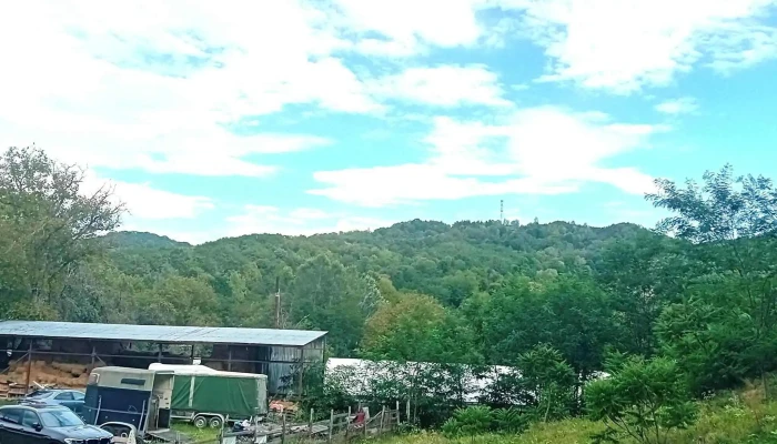 Husar Slanic Riding Centre Slănic - Slănic