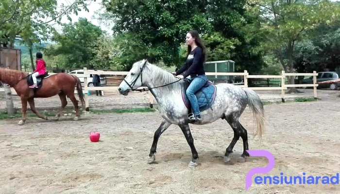 Husar Slanic Riding Centre Videoclipuri - Slănic