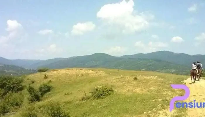 Husar Slănic Riding Centre - Slănic