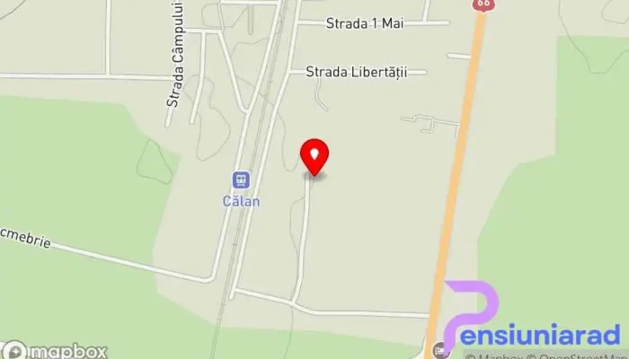 Iarina's Place - Călan 335300