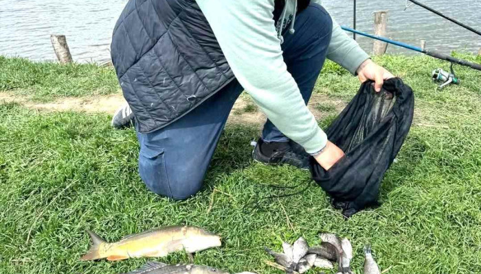 Iaz Mare Budesti Cele Mai Recente - Budeşti