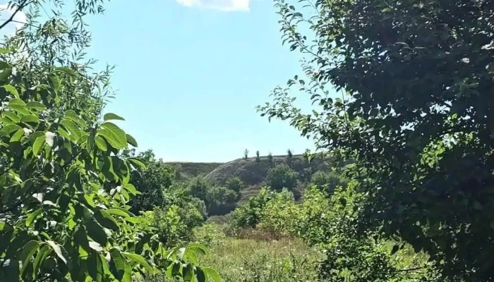 Iazul Comunal -  Videoclipuri - Stolniceni-prajescu