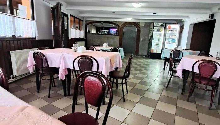 Ili -  Rux Restaurant Site Web - Sucevița