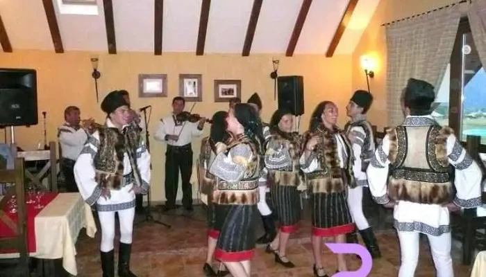 Inima Bucovinei -  De La Proprietar - Frasin
