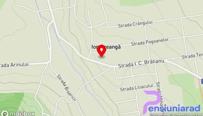 hartă a Ion Creangă  în Ion Creangă