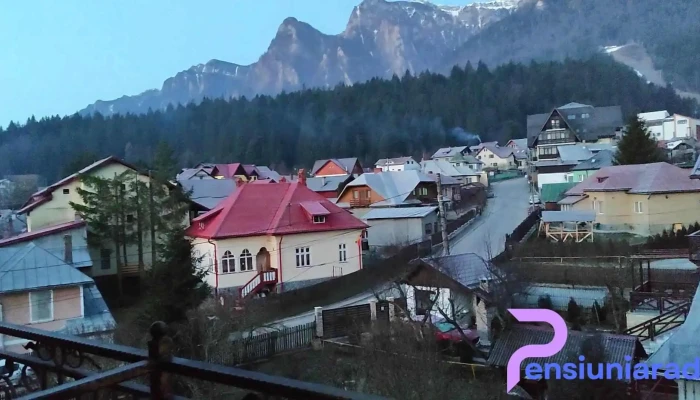 Iri -  Exterior - Bușteni