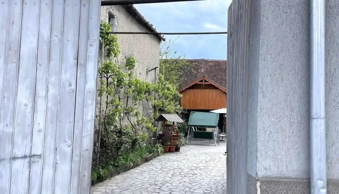 Irma Janos Cele Mai Recente - Racoș