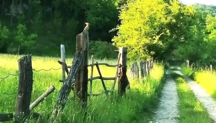 Iscroni - Iscroni